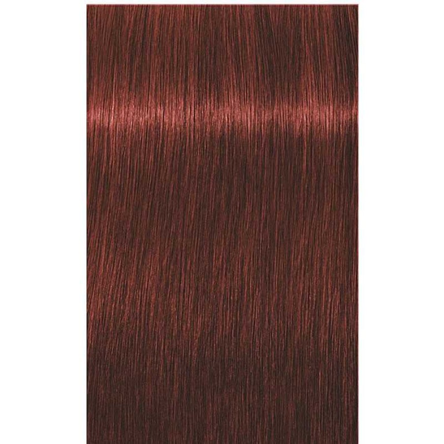 Schwarzkopf | 6-80 Dunkelblond Rot Natur Igora Royal Absolutes