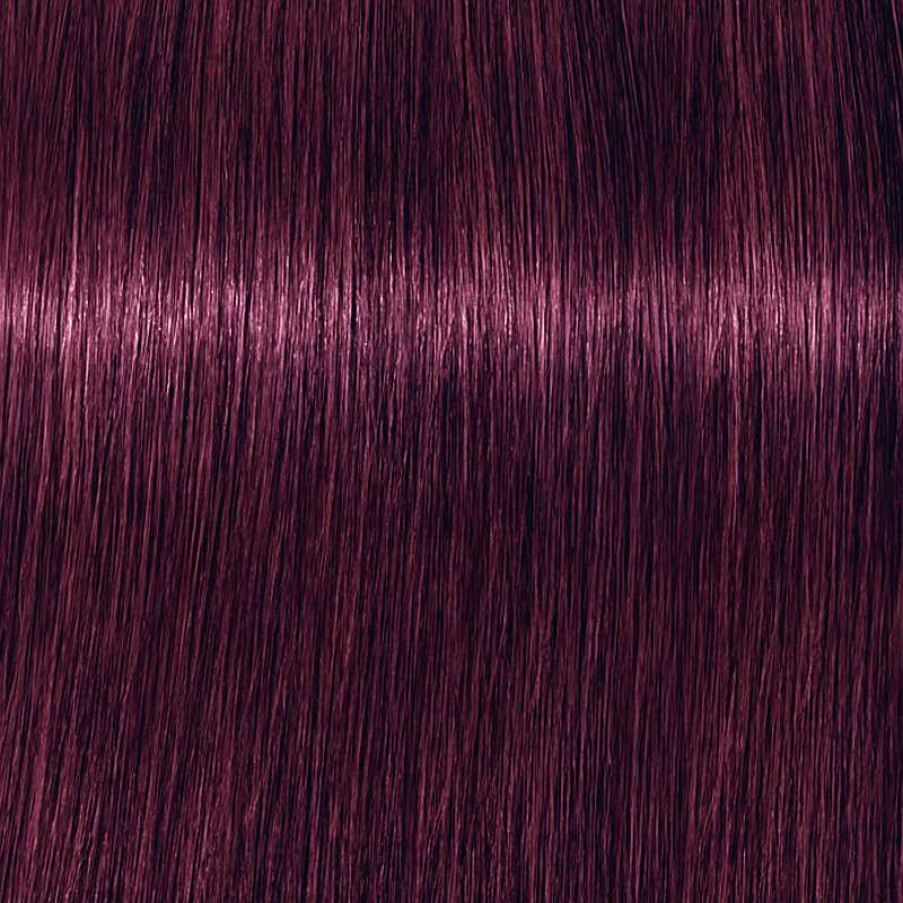 Schwarzkopf | Igora Vibrance 6-99 Dunkelblond Violett Extra