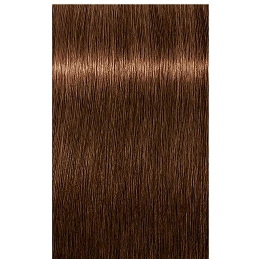 Schwarzkopf | 6-460 Dunkelblond Beige Schoko Natur Igora Royal Absolutes