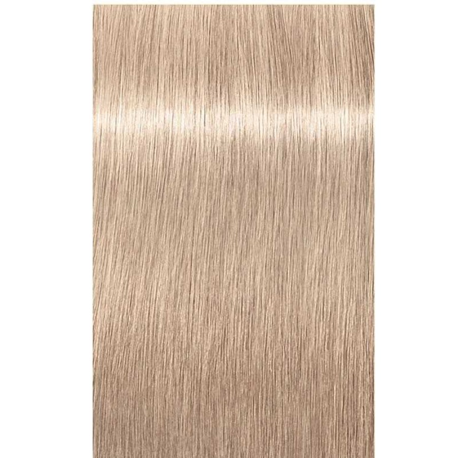 Schwarzkopf | 12-19 Highlifts Spezialblond Cendr Violett Igora Royal