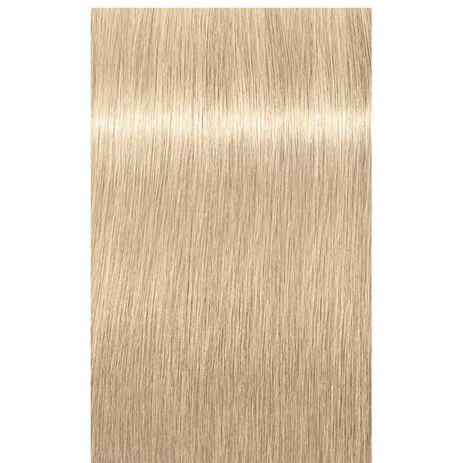 Schwarzkopf | 12-1 Spezialblond Cendr Igora Royal Highlifts